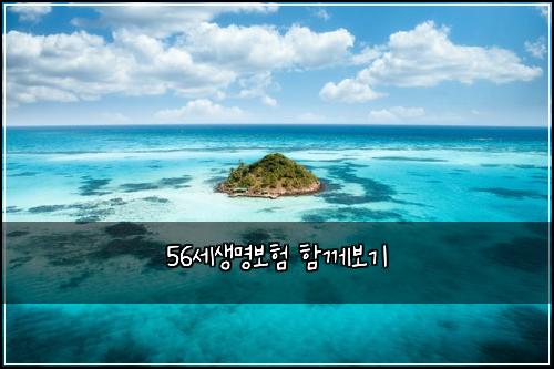 56세생명보험 함께보기 