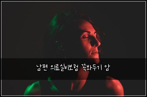 남편 의료실비보험 꼭봐두기  암