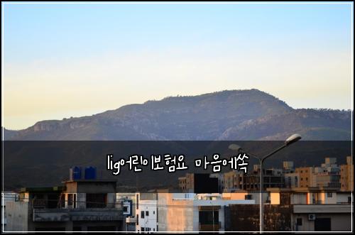 lig어린이보험요 마음에쏙