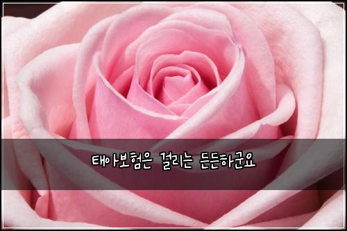태아보험은 걸리는 든든하군요