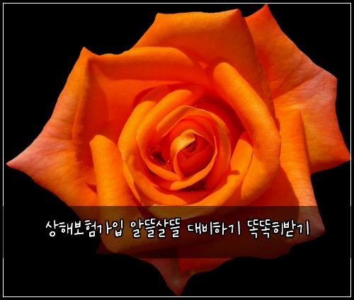 상해보험가입 알뜰살뜰 대비하기 똑똑히받기