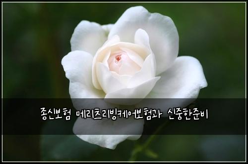 종신보험 메리츠리빙케어보험과 신중한준비