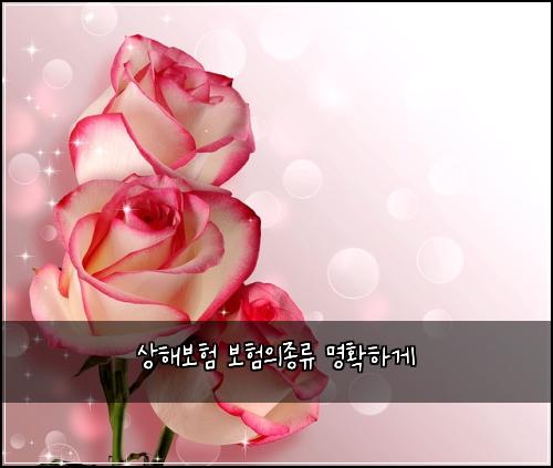 상해보험 보험의종류 명확하게
