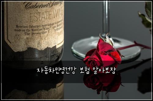 자동차민영건강 보험 알아보장 