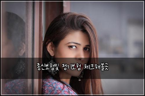 ์ข
์ ๋ณดํ๋ฐ ์ ๊ธฐ๋ณดํ ์ฒดํฌํด๋ณผ๊ณณ