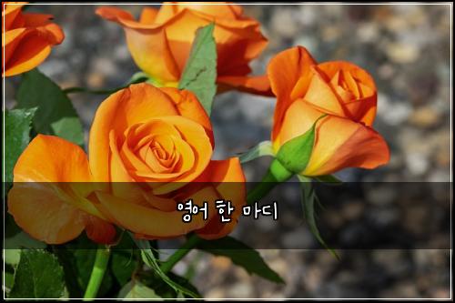 영어 한 마디
