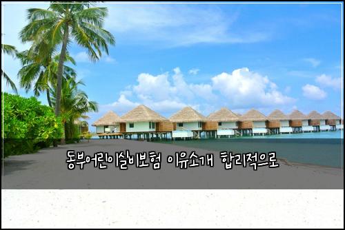 동부어린이실비보험 이유소개  합리적으로