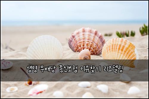 생명 무배당 종신보험 이유찾기  리모델링