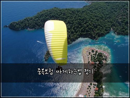 중복보험 싸게하는법  정기