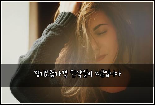 정기보험가격 한약실비 지금입니다