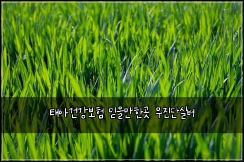 ํ์๊ฑด๊ฐ๋ณดํ ๋ฏฟ์๋งํ๊ณณ ๋ฌด์ง๋จ์ค๋ฒ
