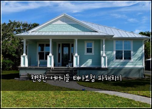 현명한 어머니들 태아보험 파해치기 