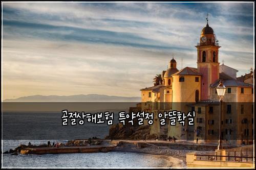 골절상해보험 특약설정  알뜰확실