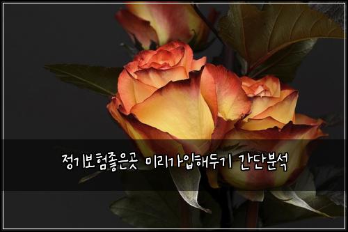 정기보험좋은곳 미리가입해두기 간단분석