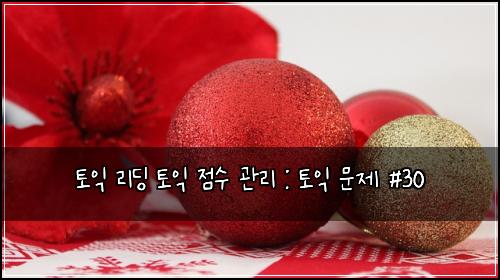 토익 리딩 토익 점수 관리 : 토익 문제 #30