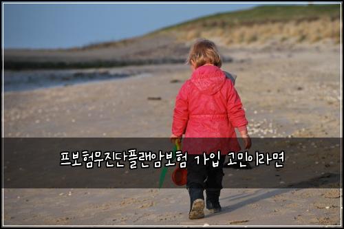 프보험무진단플랜암보험 가입 고민이라면