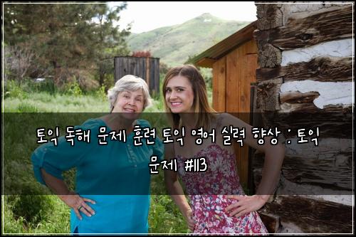 토익 독해 문제 훈련 토익 영어 실력 향상 : 토익 문제 #113