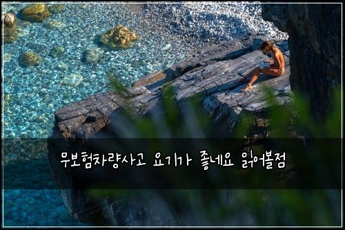 무보험차량사고 요기가 좋네요 읽어볼점