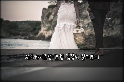 AIG하이로정기보험 꼼꼼히 살펴보기