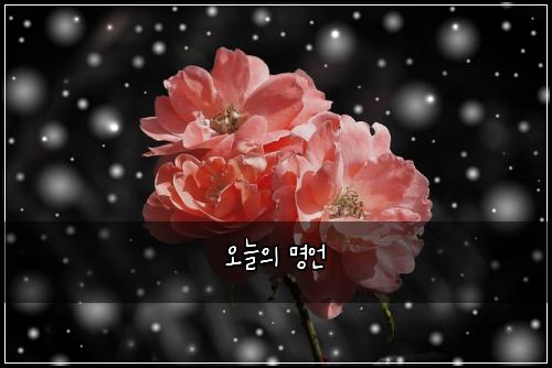 오늘의 명언