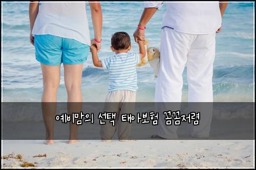 예비맘의 선택 태아보험 꼼꼼저렴 
