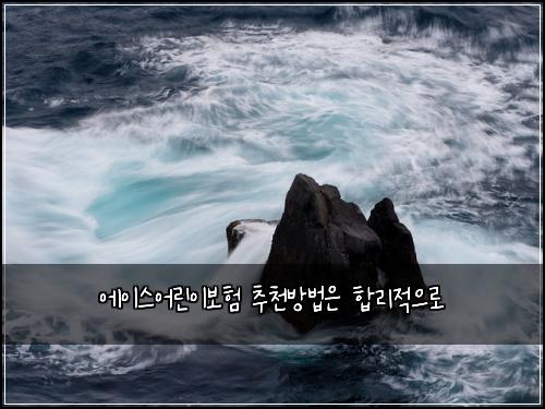 에이스어린이보험 추천방법은  합리적으로