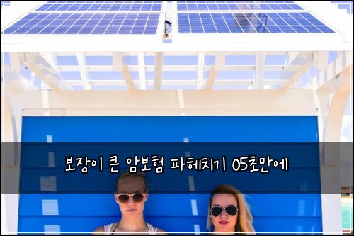 보장이 큰 암보험 파헤치기  05초만에