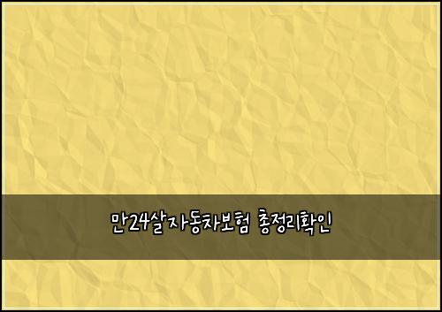 λ§24μ΄μλ차보ν μ΄μ 리νμΈ