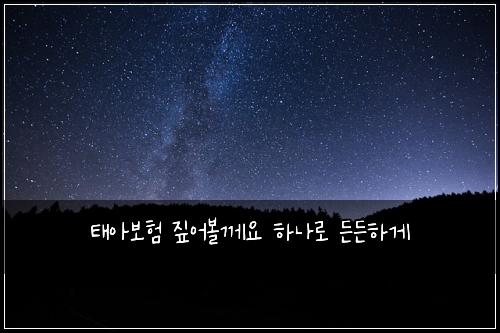 태아보험 짚어볼께요  하나로 든든하게