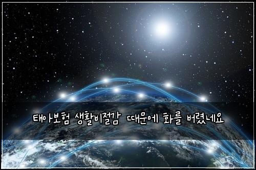 태아보험 생활비절감  때문에 화를 버렸네요