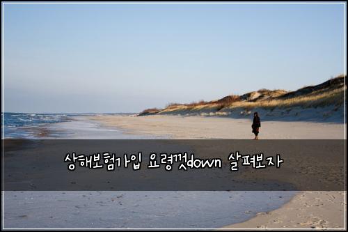 상해보험가입 요령껏down 살펴보자