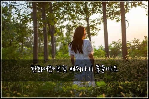 한화어린이보험 배워가기  좋을까요