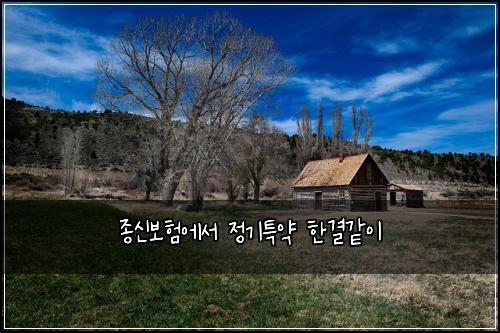 종신보험에서 정기특약 한결같이