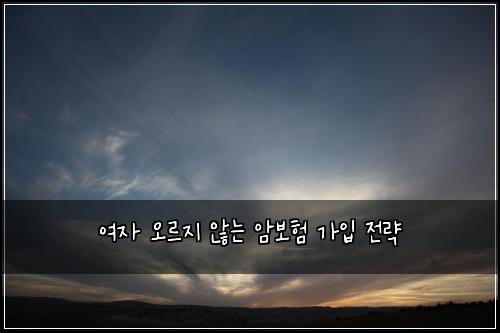 여자 오르지 않는 암보험 가입 전략