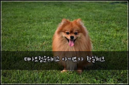 태아보험순위비교 아껴보자 확실체크