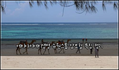 에이아이에이생명 뉴원스톱 암보험 특징 정리