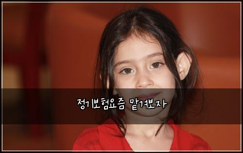 정기보험요즘 맡겨보자