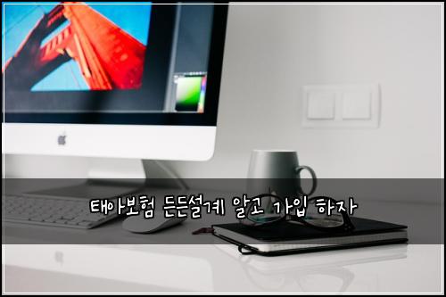 태아보험 든든설계  알고 가입 하자
