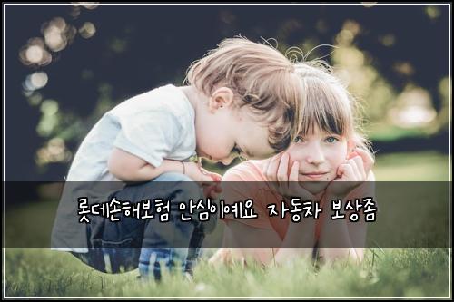 롯데손해보험 안심이예요  자동차 보상좀