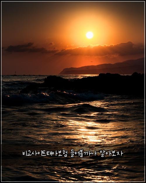 비교사이트태아보험 들어볼까나  알아보자