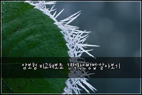 암보험 비교해보죠  견적확인방법 알아보기