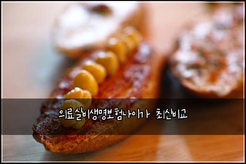 의료실비생명보험나이가 최신비교