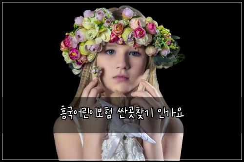 흥국어린이보험 싼곳찾기  인가요