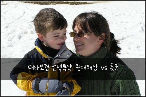 태아보험 선택특약  현대해상 vs 흥국