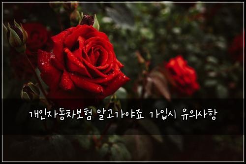 ๊ฐ์ธ์๋์ฐจ๋ณดํ ์๊ณ ๊ฐ์ผ์ฃ ๊ฐ์
์ ์ ์์ฌํญ