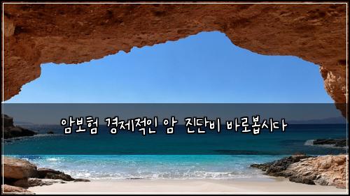 암보험 경제적인  암 진단비 바로봅시다