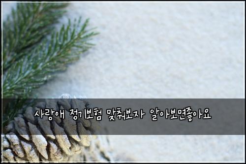 사랑애 정기보험 맞춰보자  알아보면좋아요