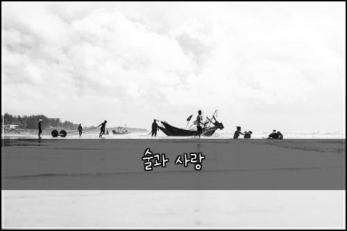술과 사랑