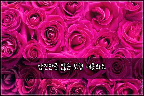 암진단금 많은 보험 내용봐요 