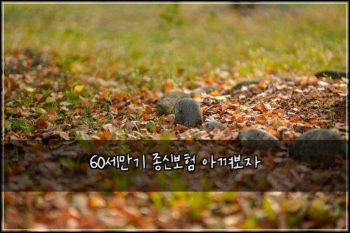 60세만기 종신보험 아껴보자 